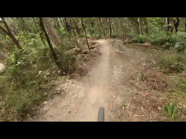 Party Mix Caloundra mtb trails 