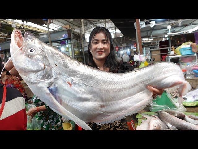 Market show, Have you ever seen this giant fish in your market? / Yummy fish rice porridge cooking