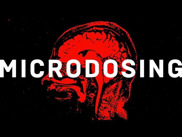 Does microdosing LSD make you smarter? | WIRED Explains