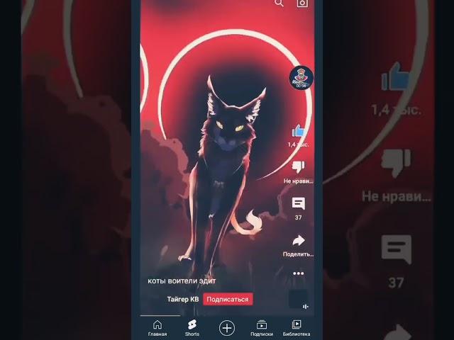 коты-воители