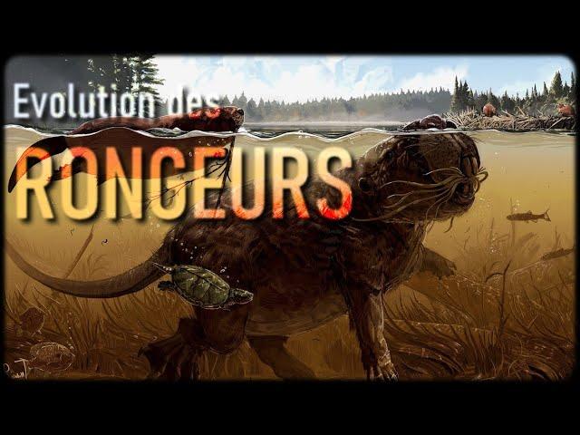 Evolution des Rongeurs