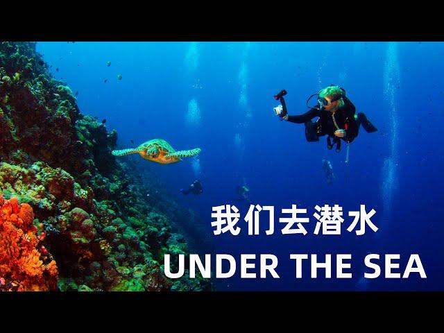 (4K) UNDER THE SEA 我们去潜水 (超高清）