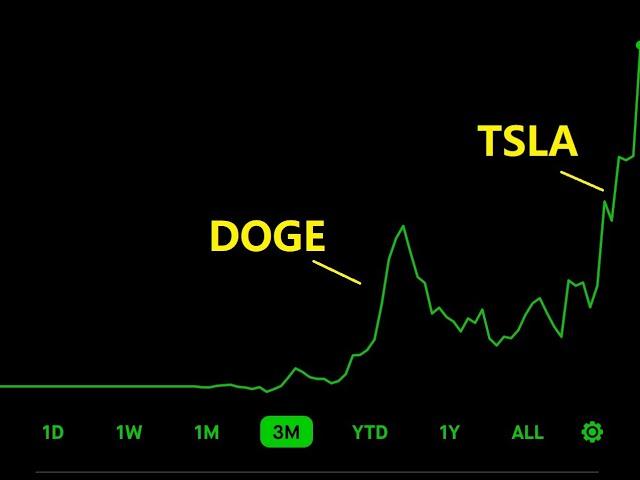 【直播12.17】TSLA又冲了，说好的700见，没多远了，这一波得感谢狗爹 #tsla