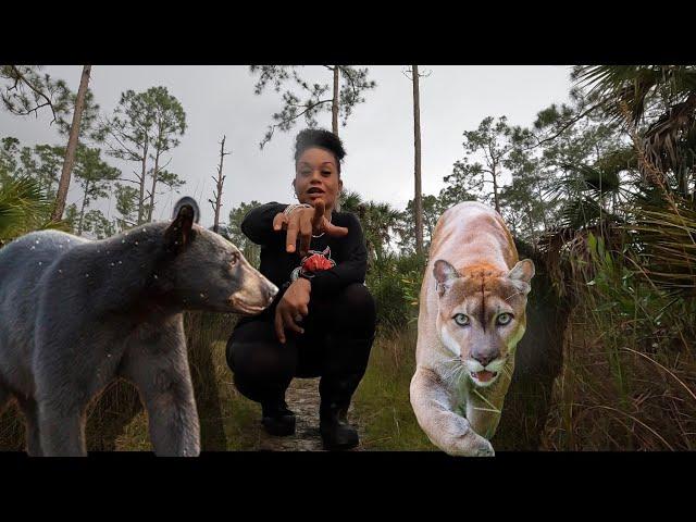 Hiking The Florida Everglades (Thunderstorm in 4K)