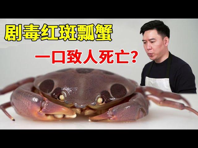 Try the highly toxic red-spotted crab! One bite can kill you? I didn't think the meat was so sweet.