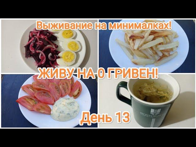 ЖИВУ НА 0 ГРИВЕН! День 13