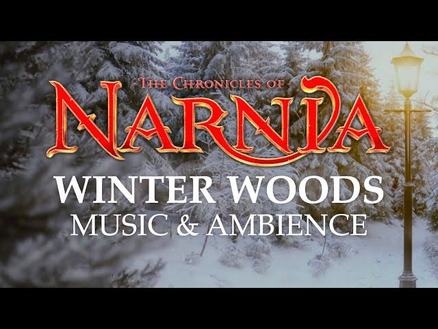 Chronicles of Narnia | Peaceful Winter Woods Music & Ambience in 4K