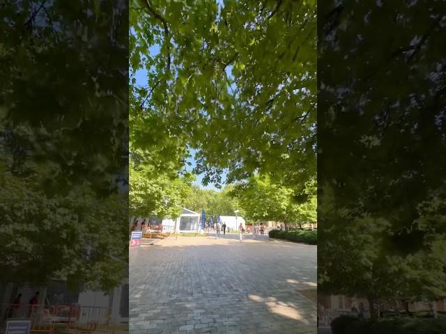 Exam season  need a miracle to pass my viscera exam #univlogs #exam #study #nature