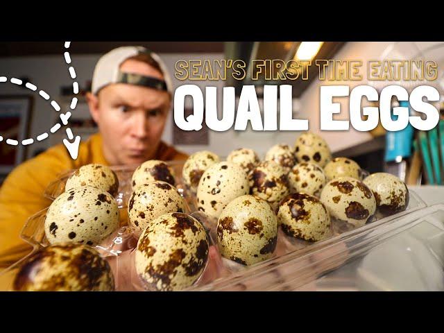 Sean's First Time Eating Quail Eggs  | Episode 10