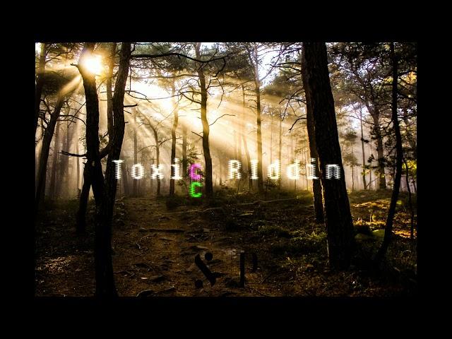 Dancehall/Trinibad Riddim "Toxic Riddim" Prod.SniPeZ | 2020 Instrumental