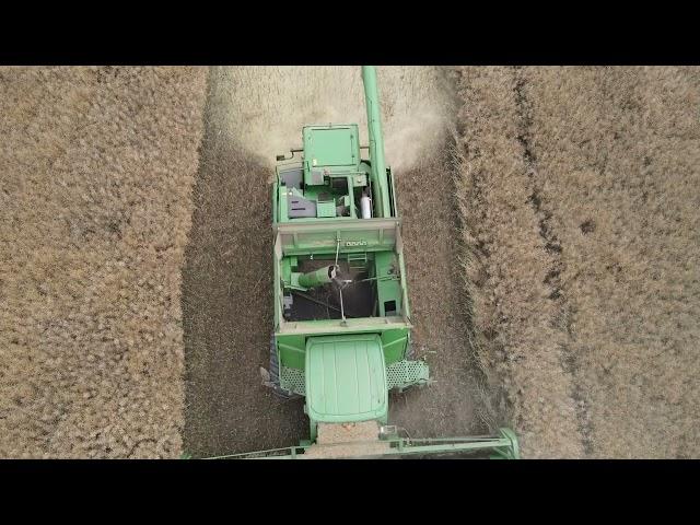 Farming life stanton