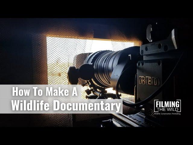 How To Make A Wildlife Documentary