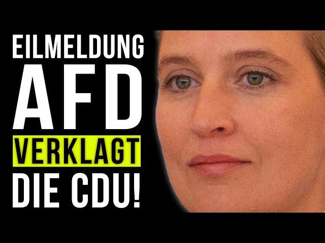 EILMELDUNG: AfD VERKLAGT CDU! MERZ PLATZT VOR WUT!