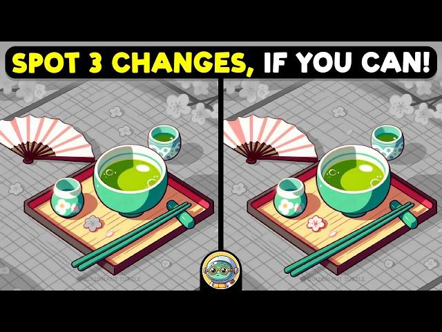  Spot The Difference | Expert Challenge Edition  | Quizonaut Turtle