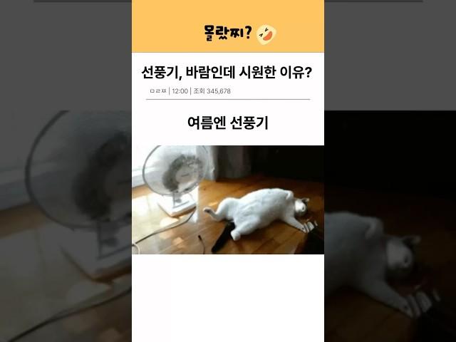 선풍기 바람인데 시원한 이유 #tmi #몰랐찌