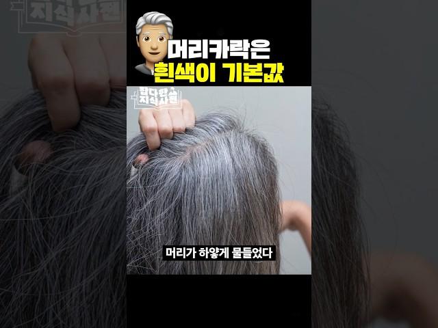 나이 들면 흰머리가 생기는 이유 ‍
