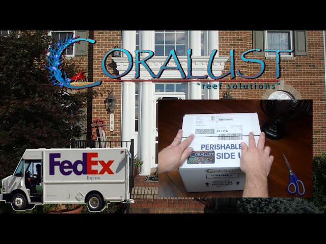 Coralust Acclimation Video Updated