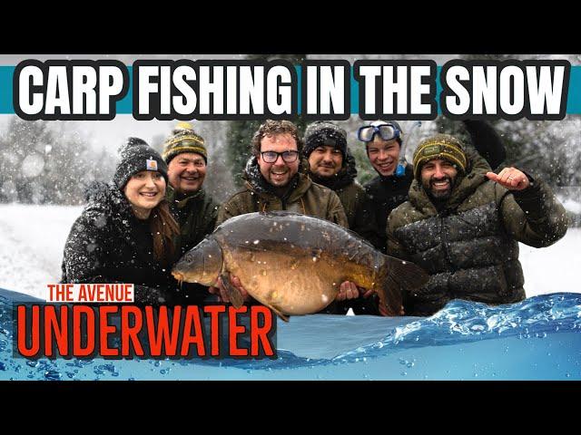  Underwater: Carp Fishing in the Snow ️ | Ali Hamidi | One More Cast