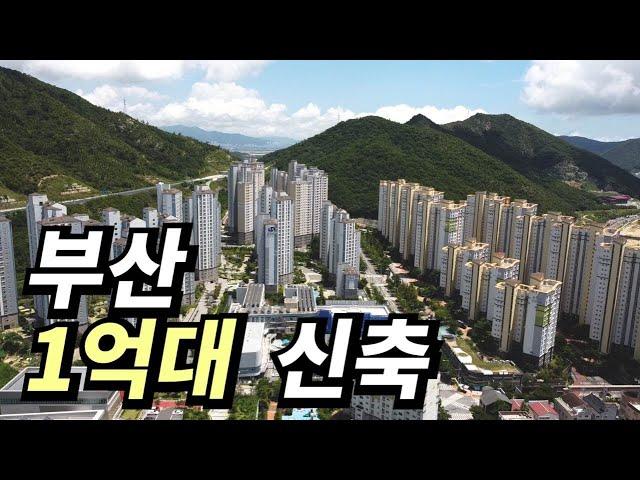 지사동 아시는분? | 태박이