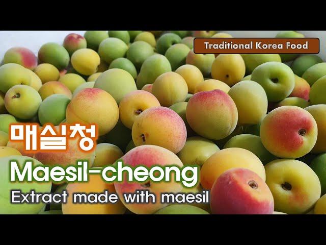 매실청 Maesil-cheong / Plum extract