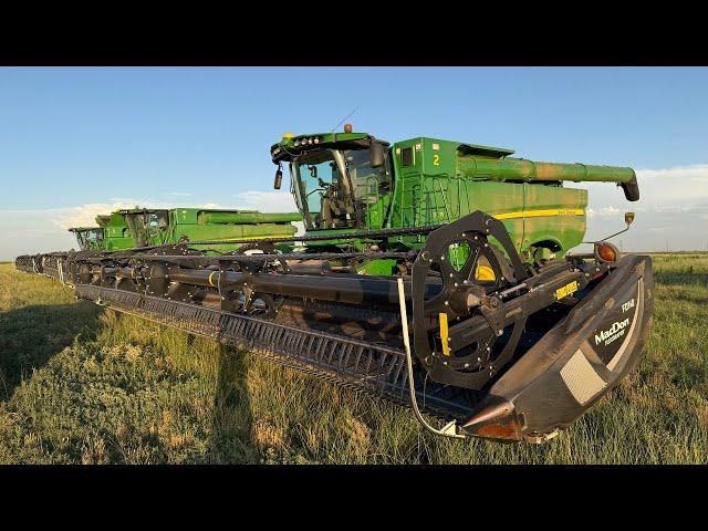 Wheat vs Weeds: The Battle Begins in West Texas!