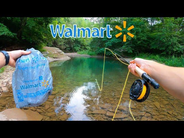 WALMART FLY FISHING CHALLENGE!! || Fly Fishing for Beginners (Brown Trout)