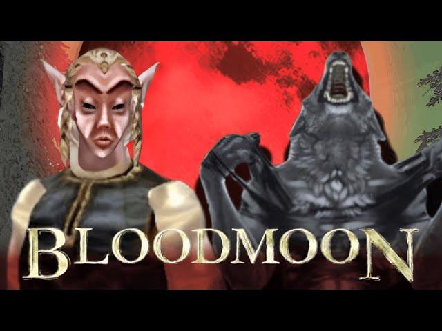 Icedman Furry Epizoda | Morrowind Bloodmoon Česká Recenze