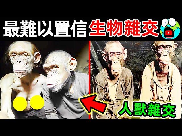 200年前駭人聽聞的“人猿雜交”，科學家為何冒死堅持？10個最不可思議的生物雜交實驗。|#地球十大 #世界之最top #世界之最 #地球之最 #腦洞大開 #top10 #雜交動物