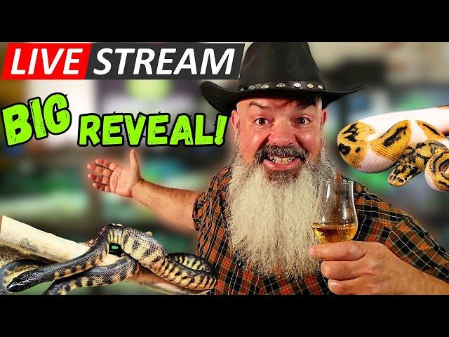 Livestream: Big reveal! Snakes, scotch, and a bunch of Q&A.