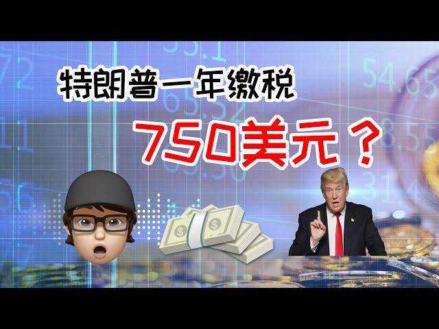 特朗普是如何做到一年仅仅缴税750美元的? | 富爸爸穷爸爸思维 | 如何合理避税