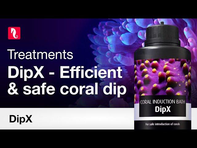 DipX Coral Dip – Safely introduce new corals to your tank.