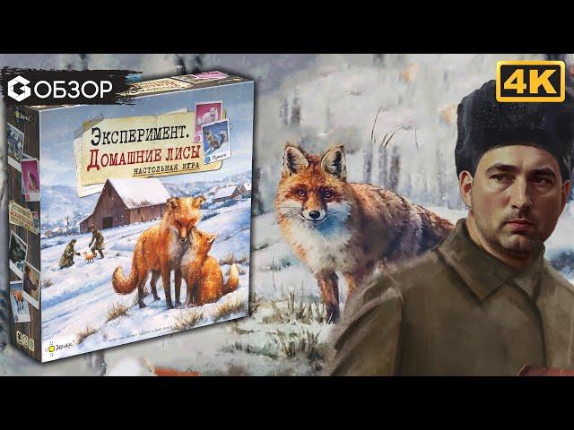 ЭКСПЕРИМЕНТ ДОМАШНИЕ ЛИСЫ - ОБЗОР настольной игры The Fox Experiment | Geek Media