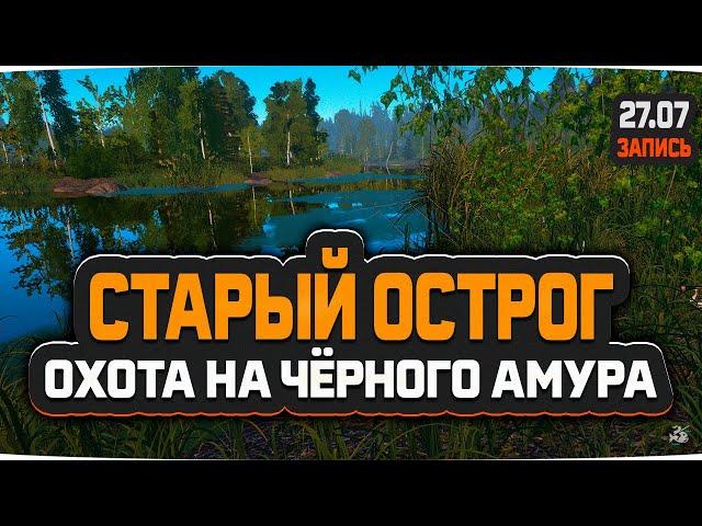 Охота на Чёрного Амура, озеро Старый Острог — Русская Рыбалка 4
