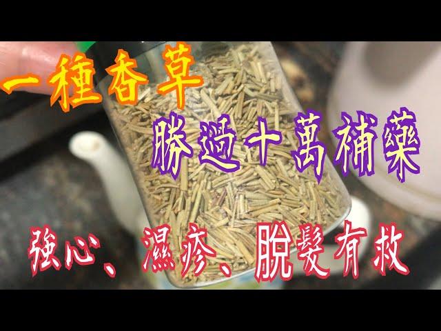 《一種香草能醫百病》強心臟🫀坐骨神經痛️‍️記憶力痛風️口臭胃氣脹脫髮禿頭‍濕疹救星