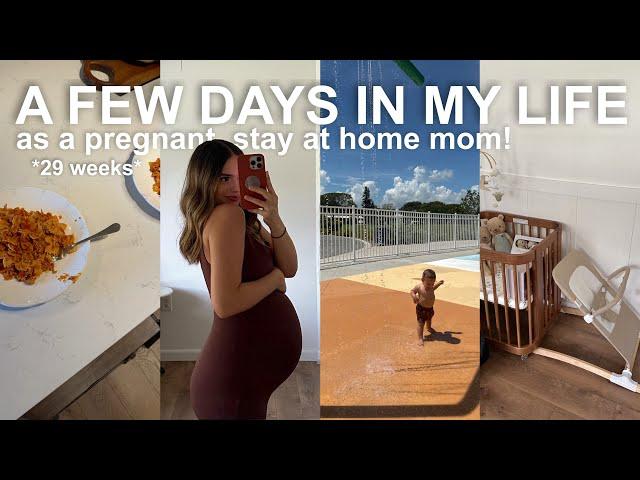 A FEW DAYS IN MY LIFE as a pregnant stay at home mom! *29 weeks pregnant with a one year old*