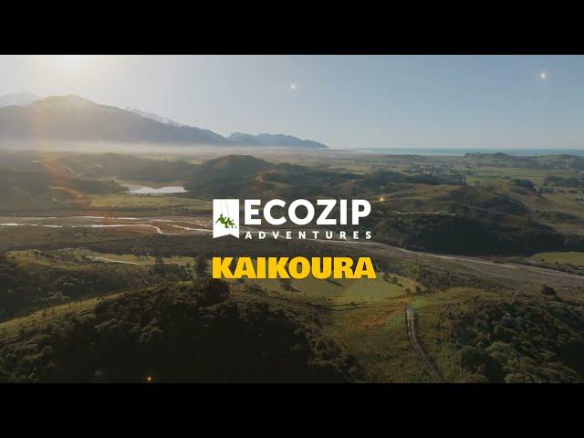 Ecozip Adventures Kaikoura Introduction