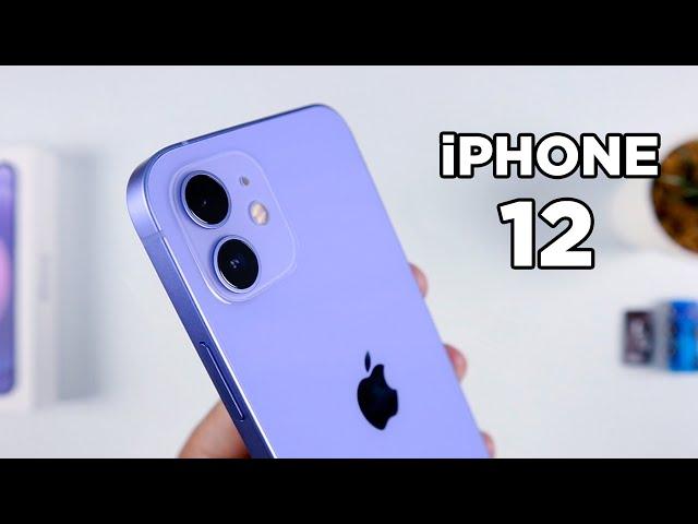 iPhone 12 Purple UNBOXING & CAMERA TEST | Zeibiz