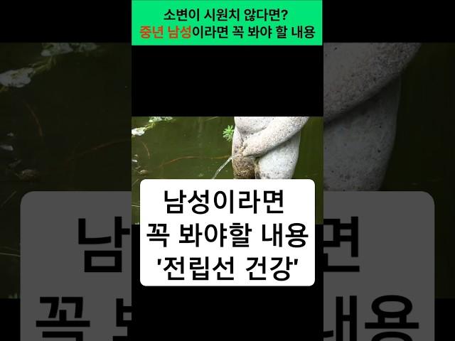 소변이 시원치 않다면? 중년 남성이라면 꼭 봐야 할 내용 #건강 #건강정보