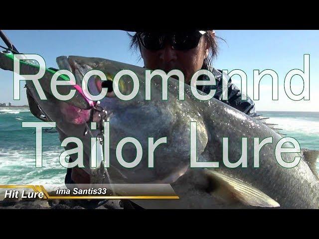 Rocky D Australia Land Base Lure Fishing Vol.74 Tailor Lure