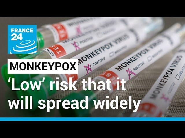 ‘Very low’ risk that monkeypox will spread widely, EU health agency says • FRANCE 24 English