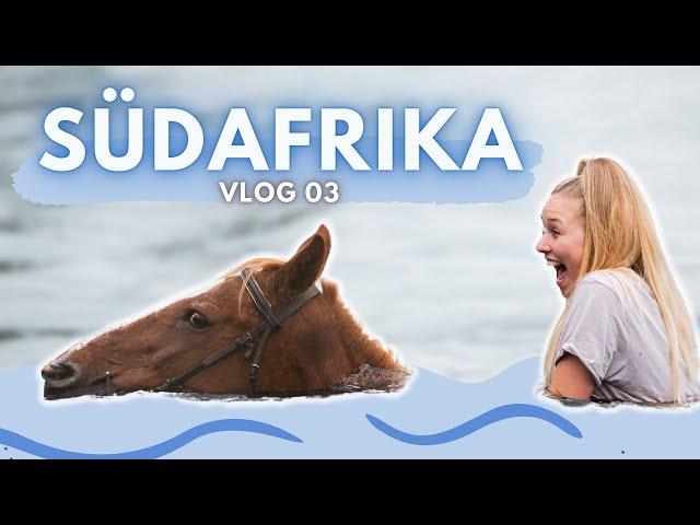 POLOCROSSE & SCHWIMMEN mit Pferden in Südafrika