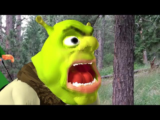 Cursed Shrek Scene