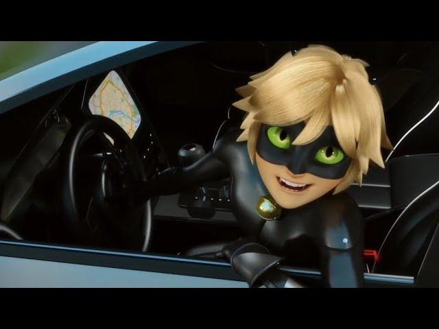 chat noir flirting with his lady for almost 2 minuts straight