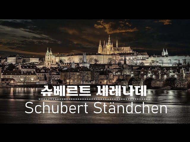 슈베르트 - 세레나데  | Schubert [Serenade D.957, No.4] 첼로 원지혜