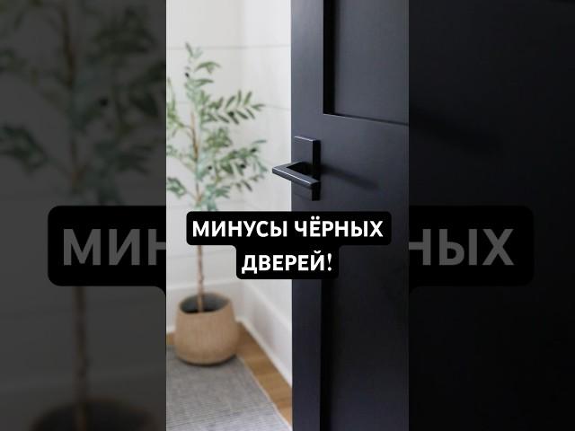 3 главных МИНУСА чёрных дверей!