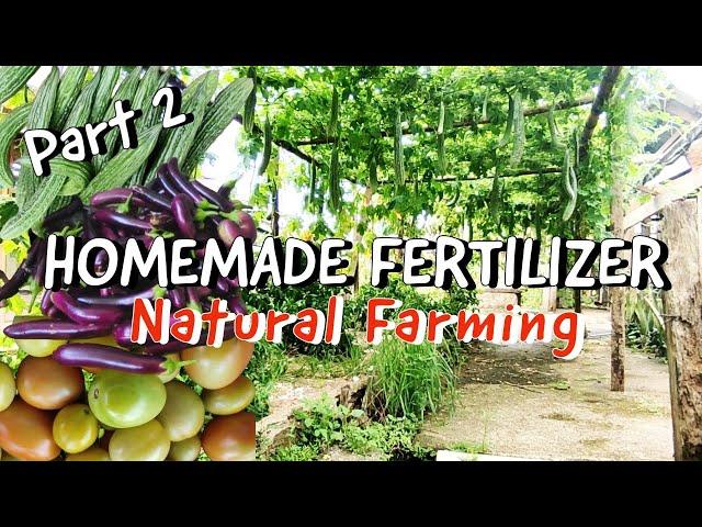 How to Make OHN, FAA and CalPhos | Natural Liquid Fertilizer Part 2