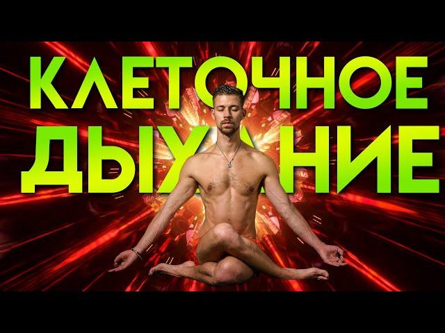 ДЫХАТЕЛЬНАЯ ПРАКТИКА от Никиты Метелицы. Клеточное дыхание. #биохакинг #дыхание