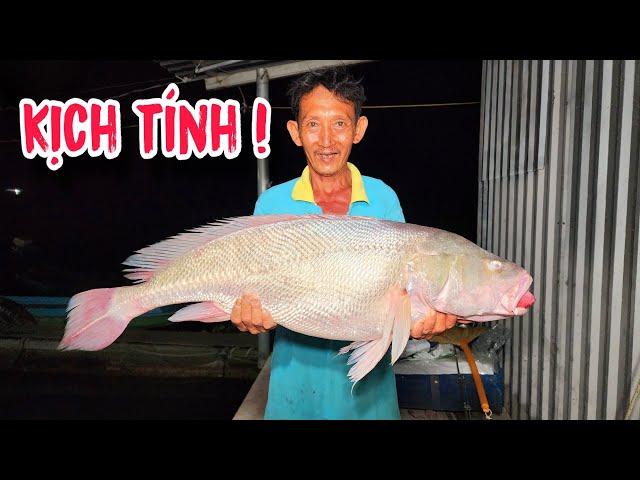 Cá Sủ Khủng Hết Đường Thoát Với Kế Sách Này Của Ngư Dân Sông Tiền | #66TV #fishing