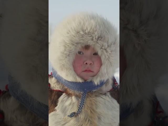  Как живут кочевники Крайнего Севера #ямал #салехард #рекомендации