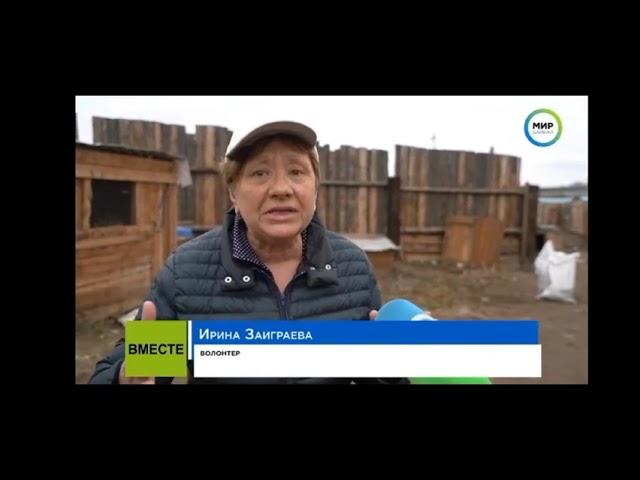 В Бурятии собаки умирают от голода!